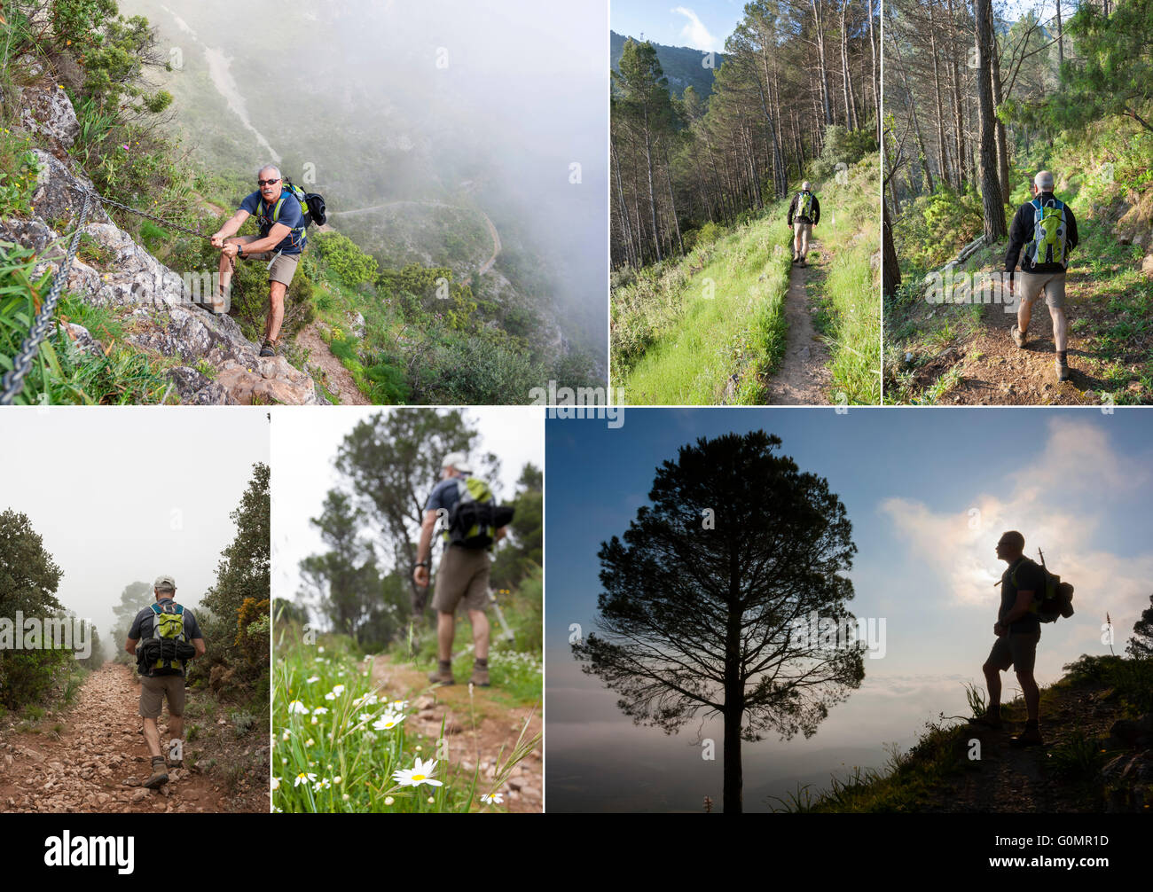 Wandern Collage. Reifer Mann, trekking in den Bergen Stockfoto