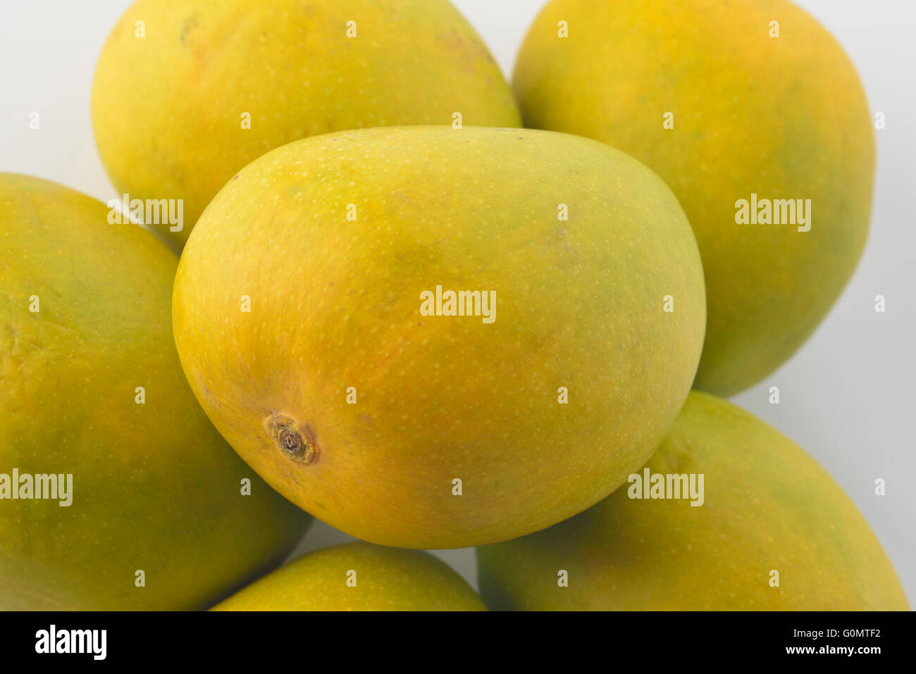 Alphonso-Mangos Stockfoto