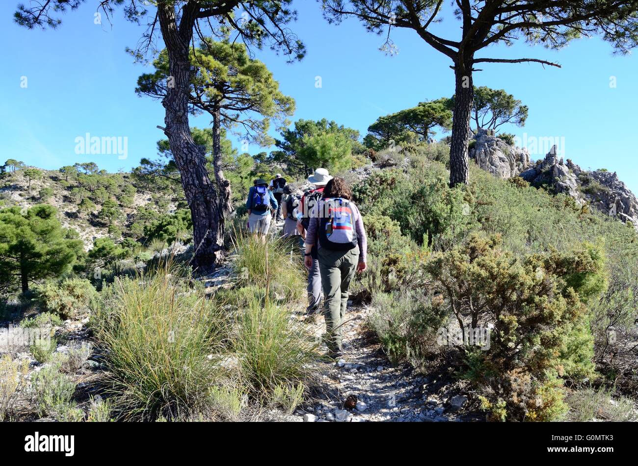 Wanderer auf der alten Seidenstraße durch Kalkstein Landschaften Sierra Tejeda spanischen Nationalpark Malaga Andalusien Spanien Stockfoto