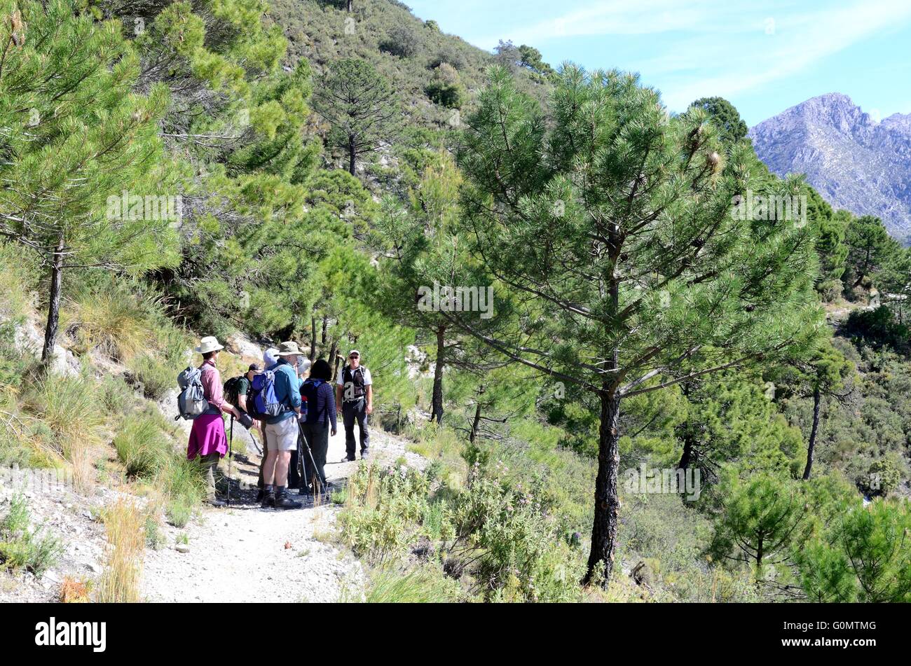 Wanderer auf der alten Seidenstraße durch Kalkstein Landschaften Sierra Tejeda spanischen Nationalpark Malaga Andalusien Spanien Stockfoto