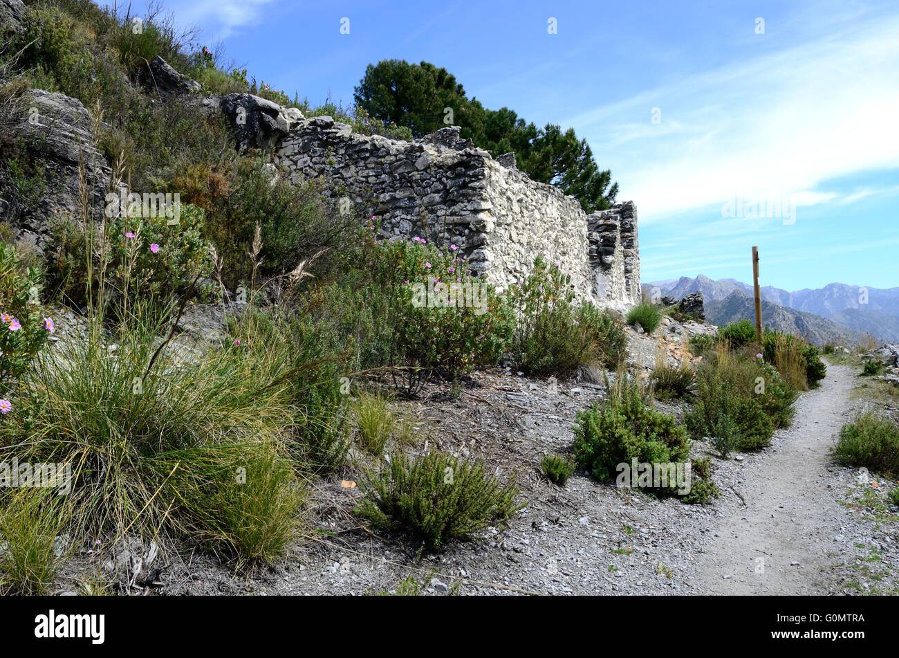 Ruine eines alten Gasthauses auf der alten Seidenstraße Sierra Tejeda Nationalpark Andalusien Spanien Stockfoto