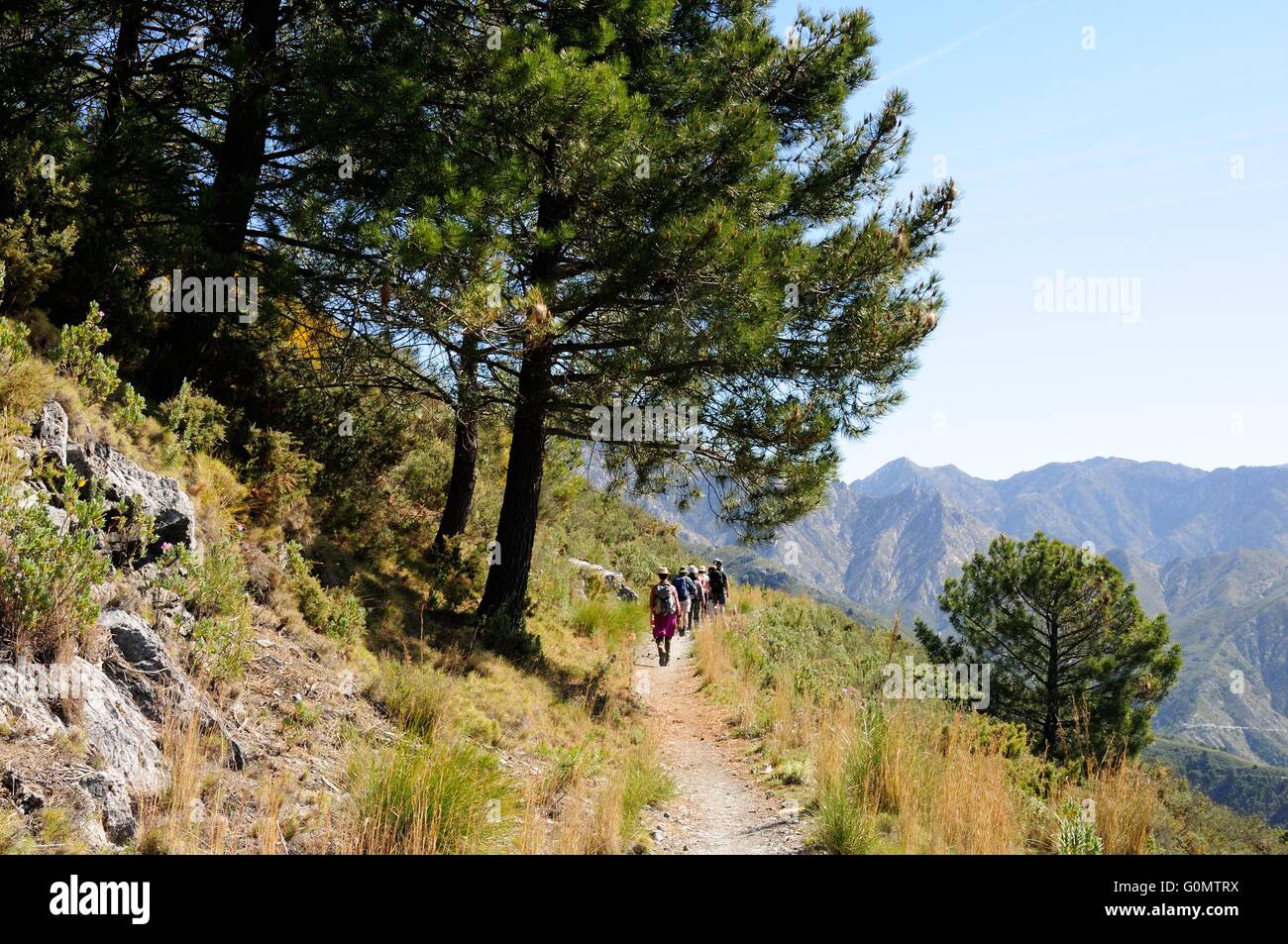 Bestandteil der antiken Seidenstraße in der Sierra Tejeda Nationalpark Andalusien Spanien Stockfoto