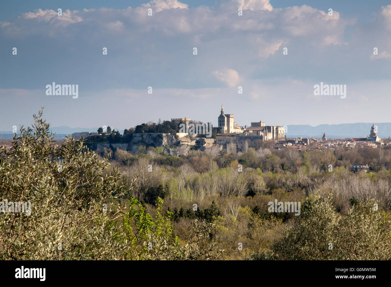 Avignon, Frankreich, Europa Stockfoto