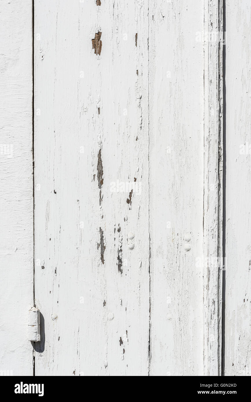 Verwitterte weiße Holztür mit Scharnieren mit weißer Farbe gesäumt und Peeling texturiert. Stockfoto