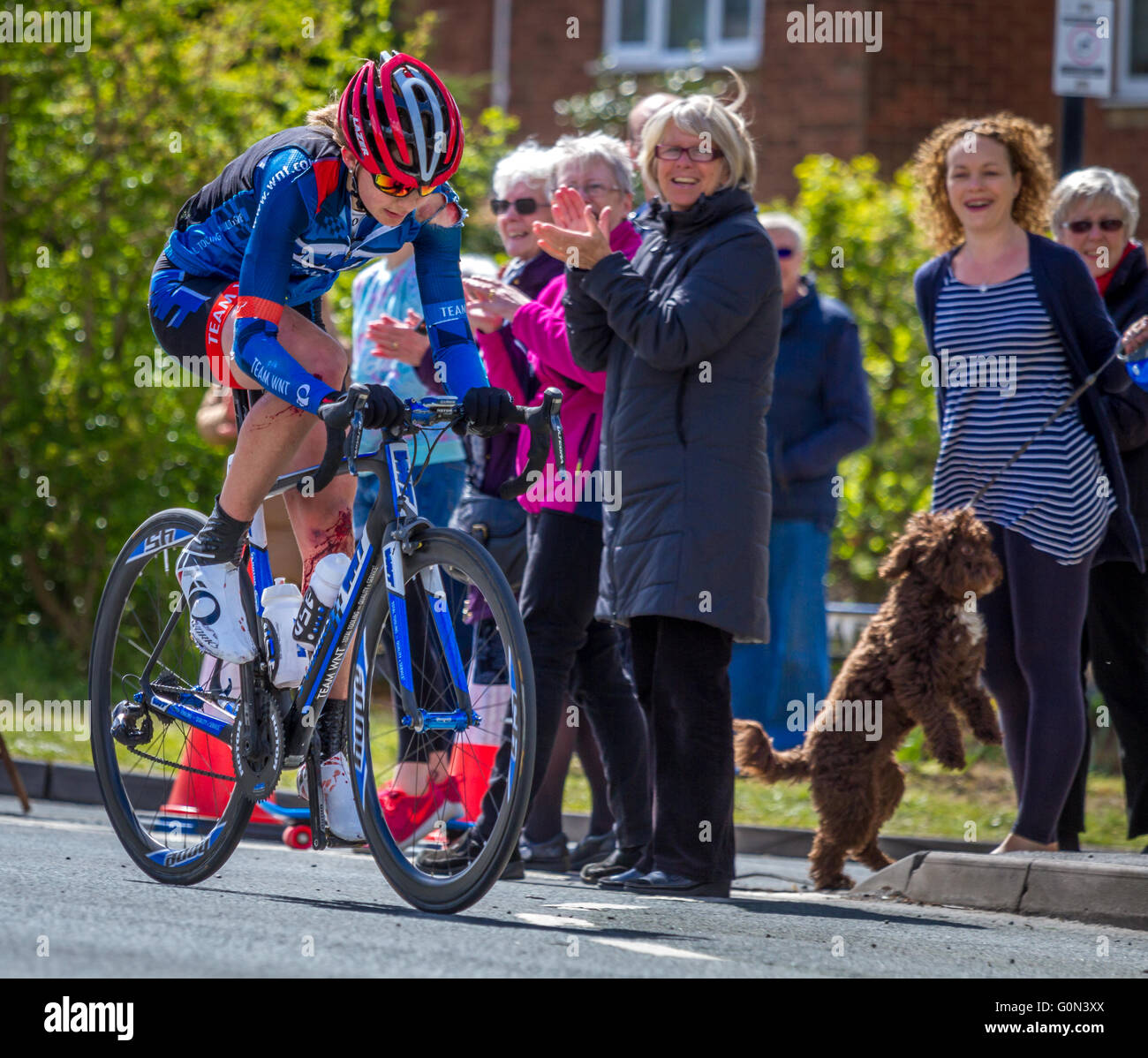 Natalie Grinczer (GB), verletzt, schließt Tour de Yorkshire trotz Crash verlassen ihre tropfende mit Blut, die Menge jubelt und klatschen Stockfoto