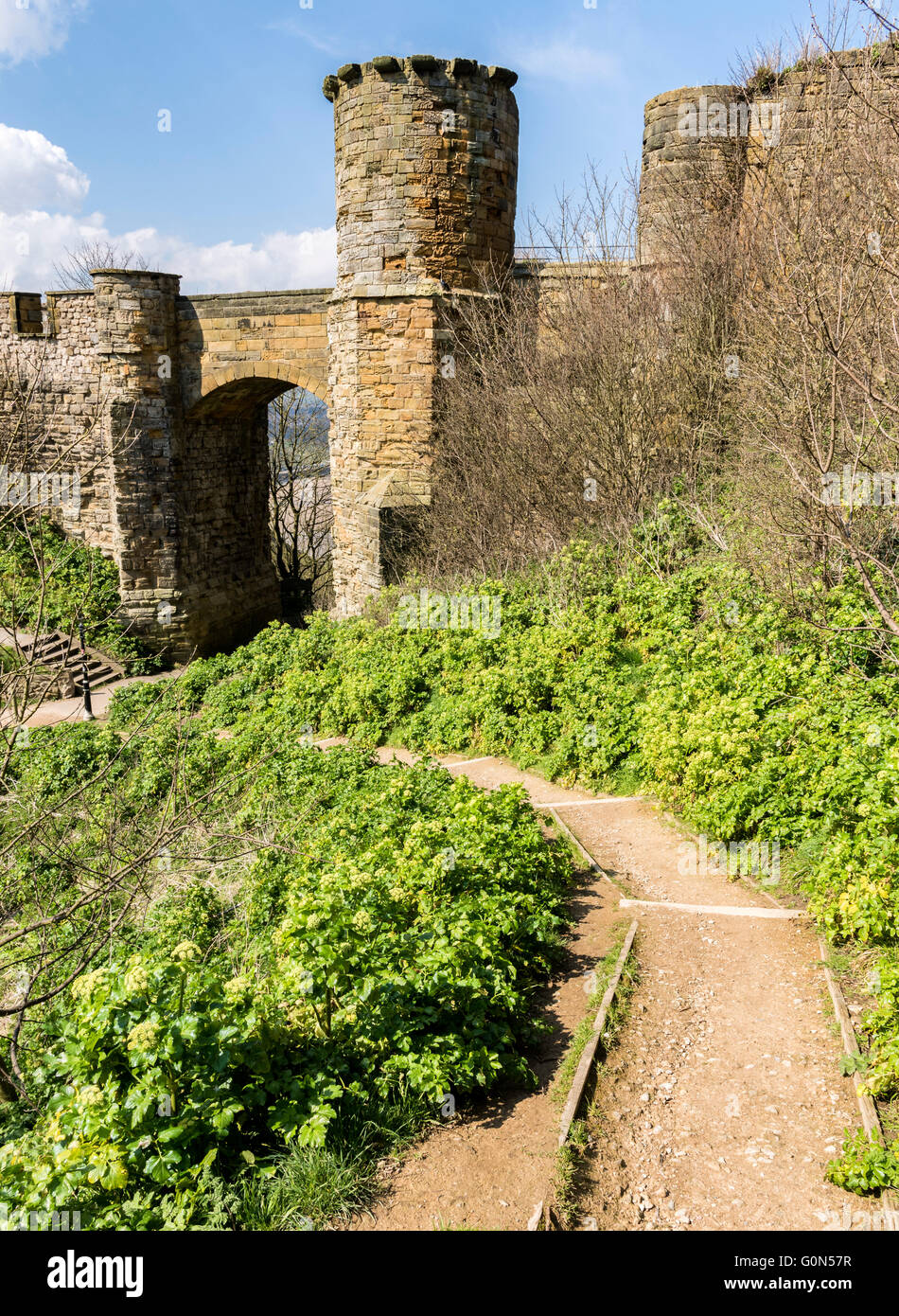 Scarborough Schloß Stockfoto