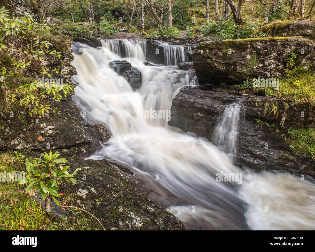 Wasserfälle in Wäldern am Inversnaid, Loch Lomond Stockfoto