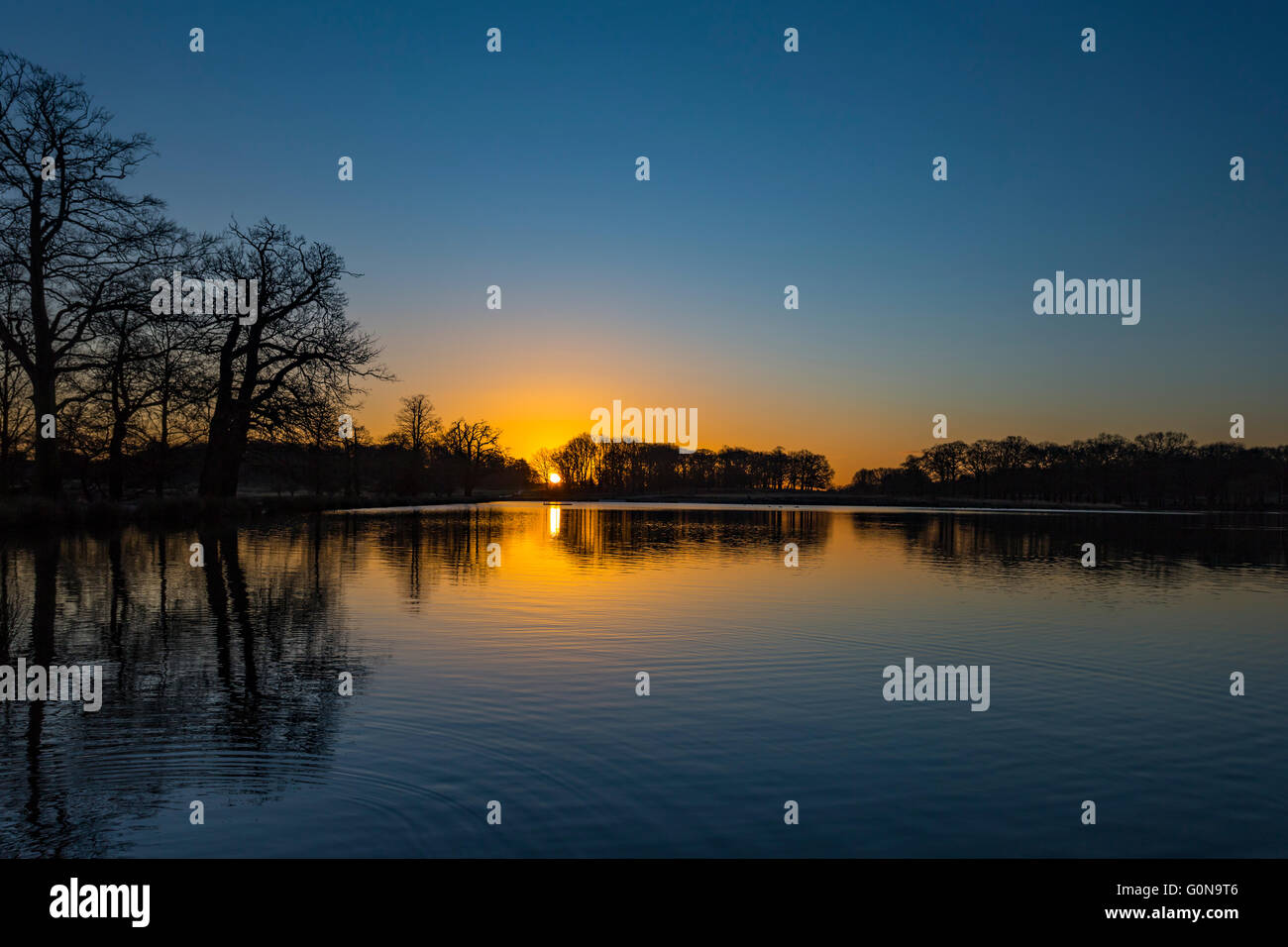 Stift Teiche, Richmond Park, London Borough of Richmond upon Thames, England, Vereinigtes Königreich Stockfoto