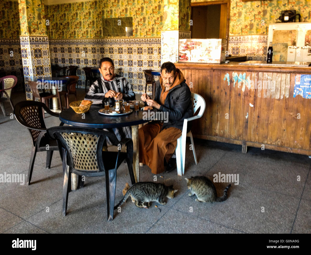 Zwei Männer und zwei Katzen auf eine Bar in der Tizi n'Tichka Mountain Pass. Stockfoto