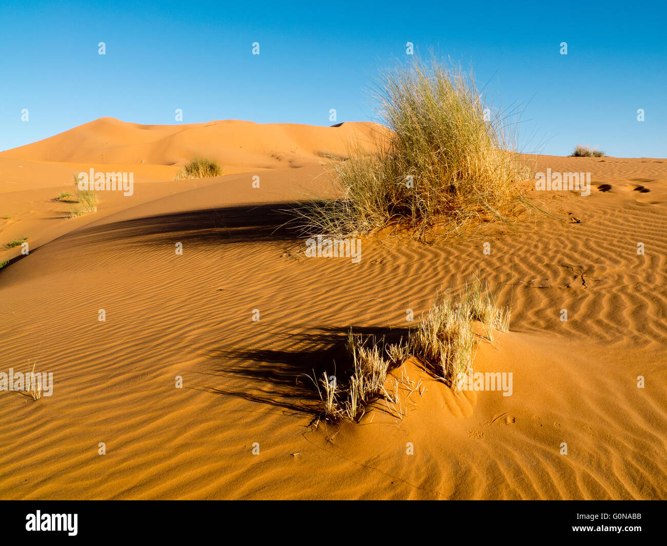 Die Erg Chebbi Sanddünen in Merzouga Stockfoto