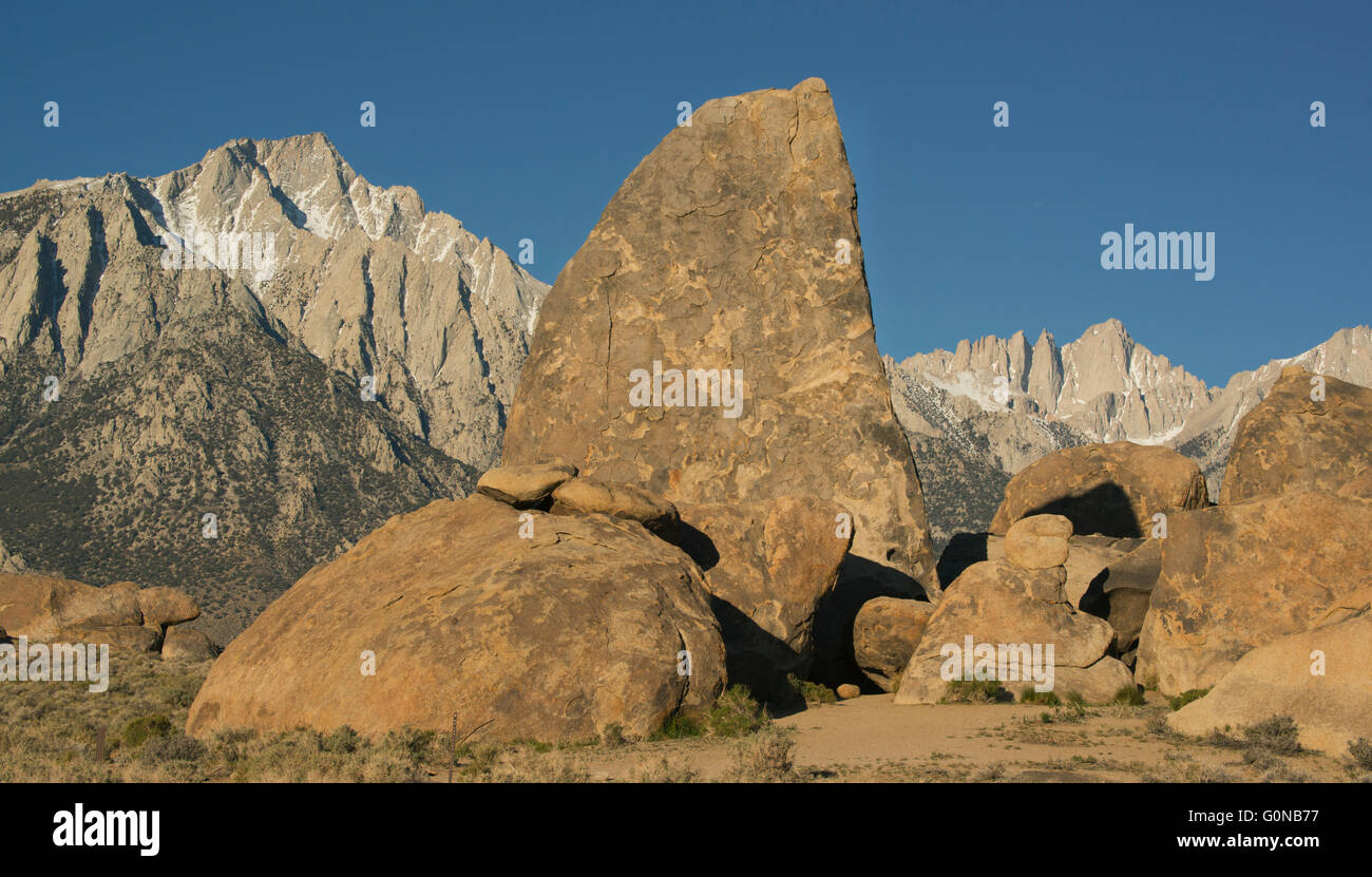 Mt. Whitney (rechts im Hintergrund) und die Sierra Nevada Kamm aus Alabama Hills, Owens Valley, Kalifornien Stockfoto