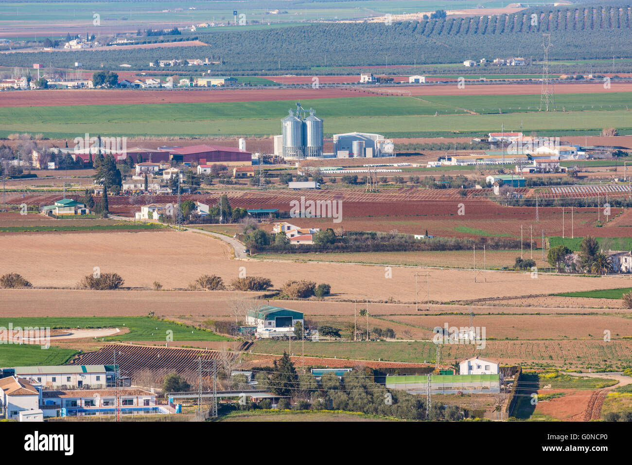 in der Nähe von Antequera, Provinz Malaga, Andalusien, Südspanien. Feldern gleich außerhalb der Stadt. Stockfoto