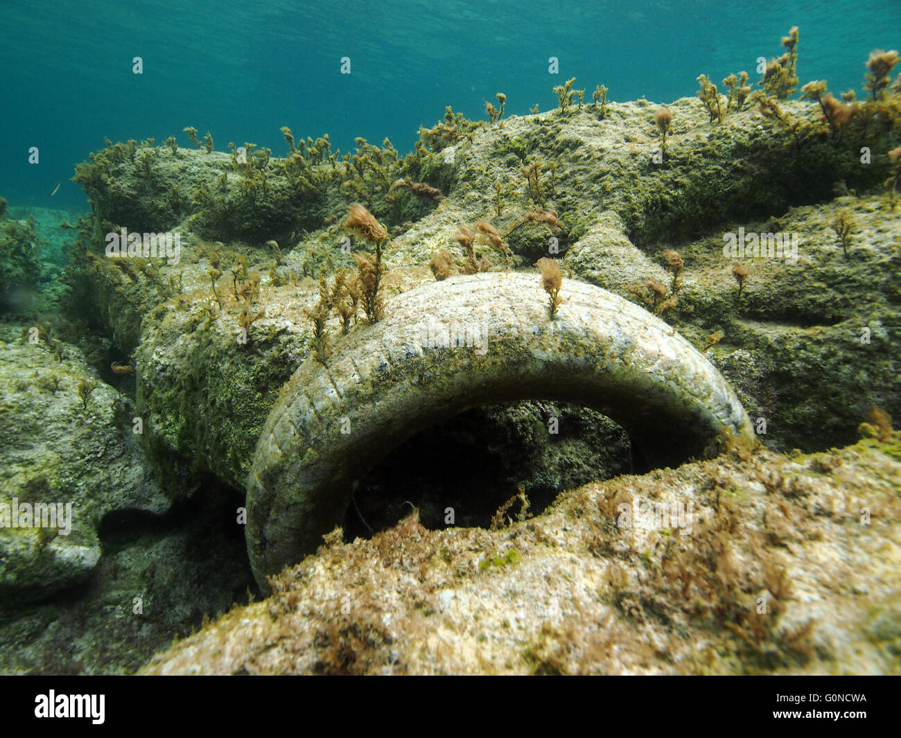 Pkw-Reifen unter Wasser aus Zypern im Mittelmeer. Stockfoto