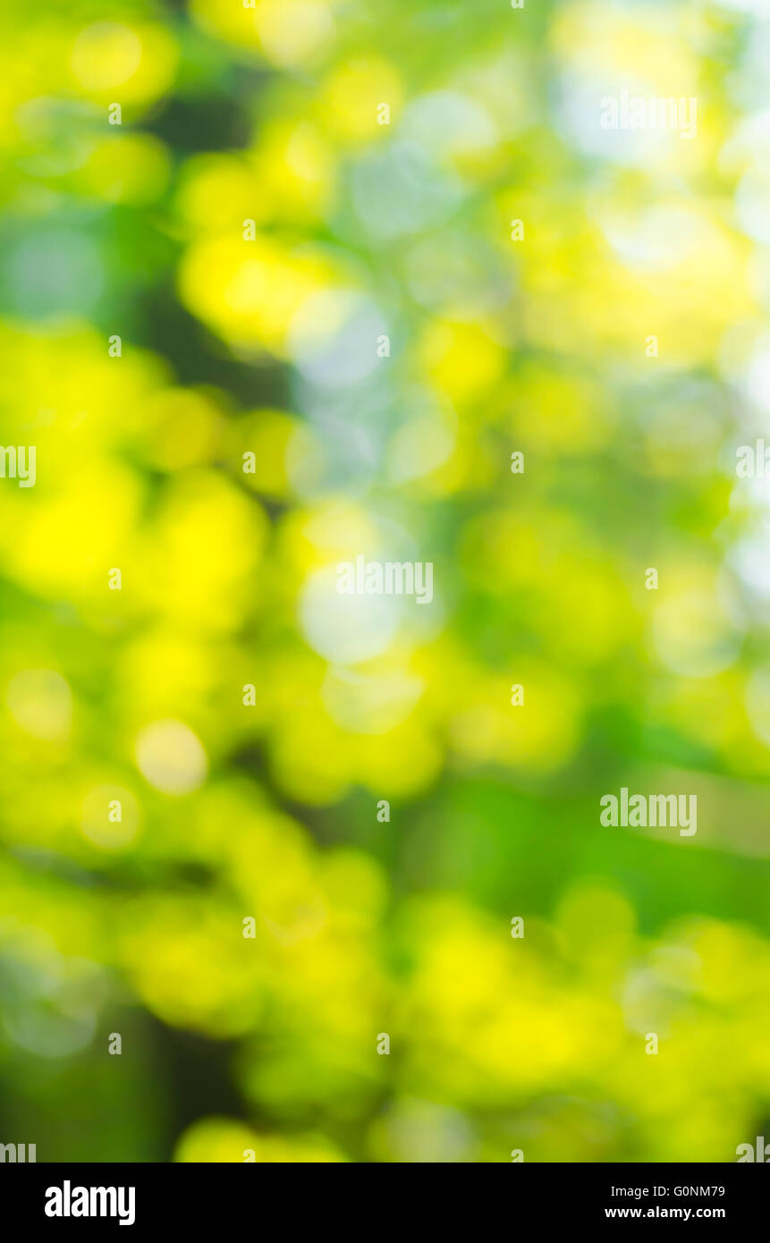 Natur Frühling defokussierten Hintergrund Stockfoto