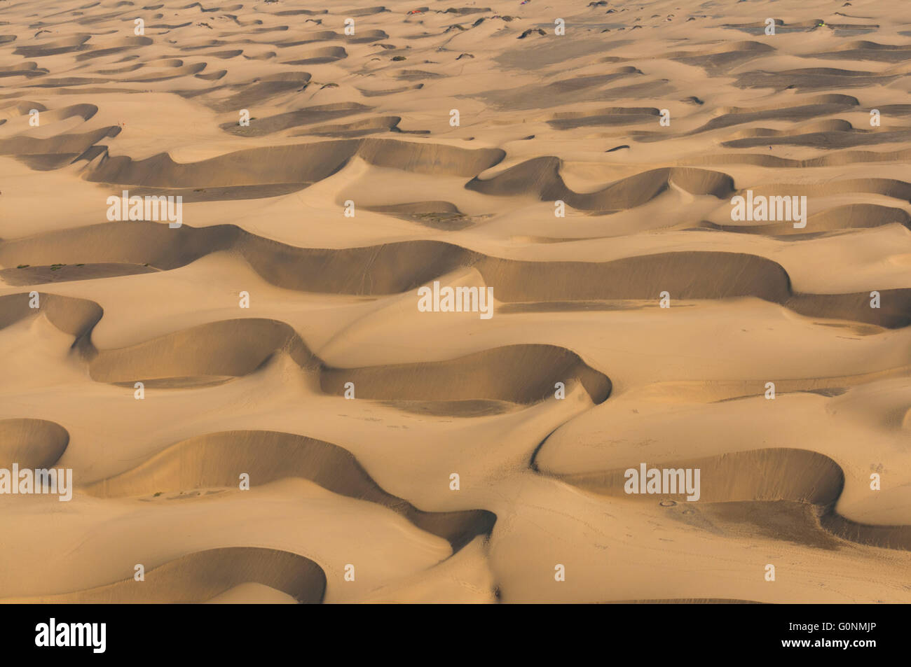 Spanien, Kanarische Inseln, Gran Canaria, Maspalomas, Dünen (Luftaufnahme) Stockfoto