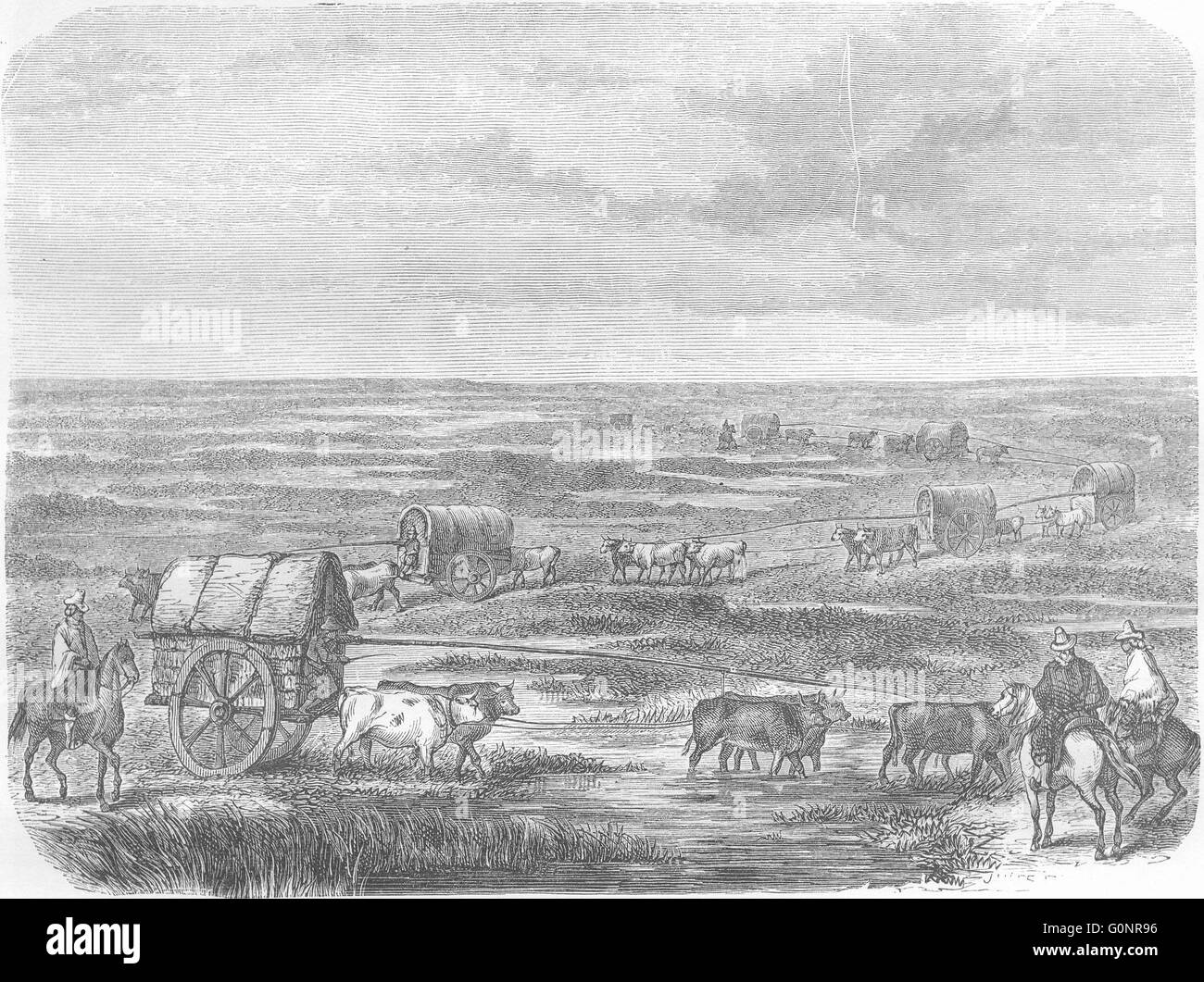 TRANSPORT: Wohnwagen, Pampas, antique print 1870 Stockfoto