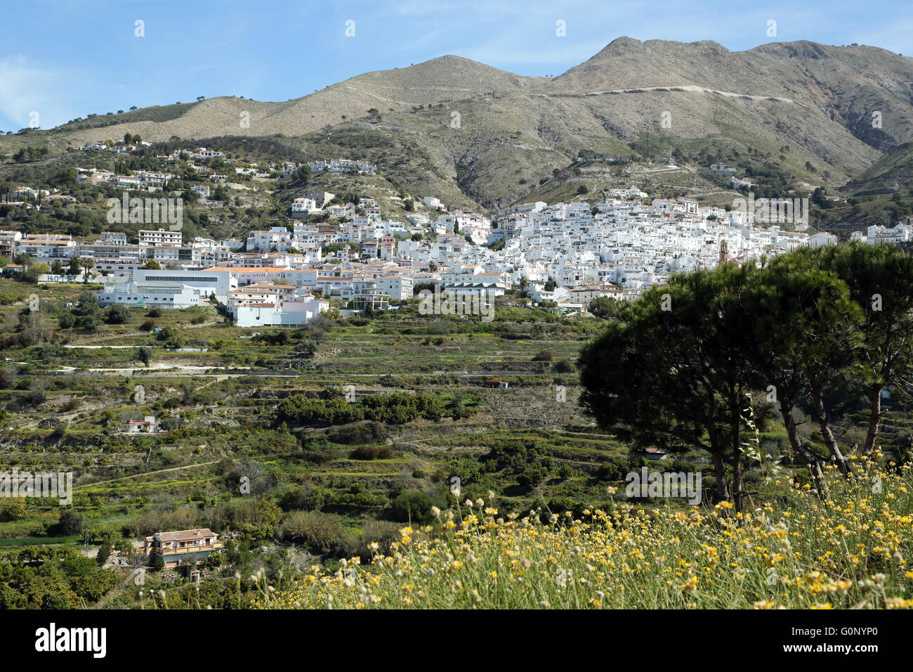Das Dorf von Cómpeta, Andalusien, einem malerischen weißen Dorf im Süden Spaniens. Stockfoto
