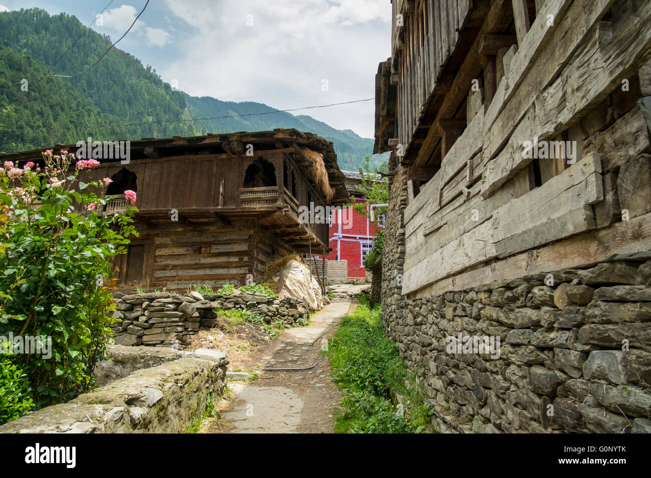 Ein schönen Himalaya-Blockhaus im traditionellen Stil mit wilden Blumen Stockfoto