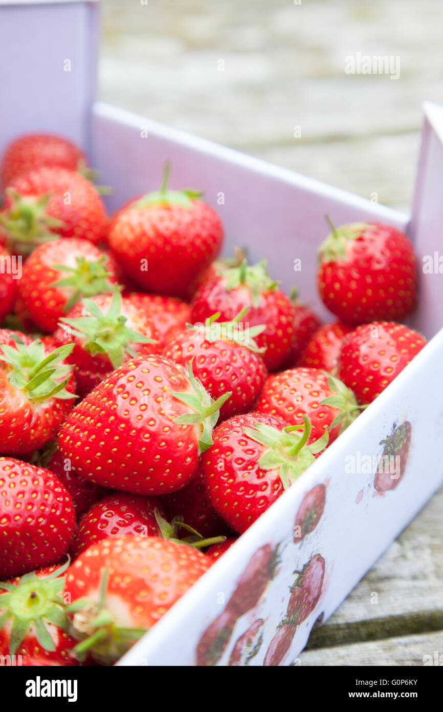 Frische Erdbeeren in einem Karton draußen auf einem Holztisch Stockfoto