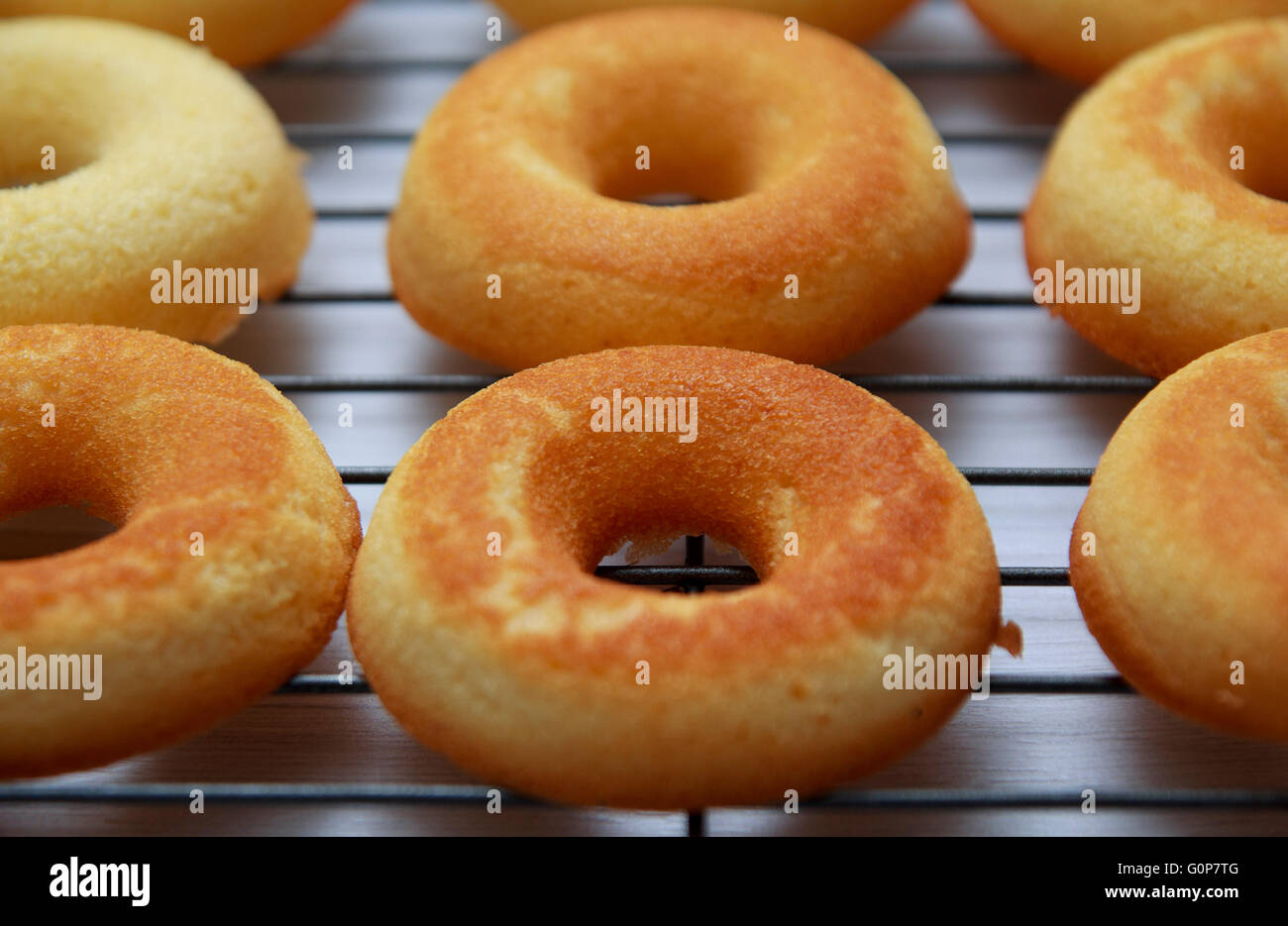 Plain Krapfen Closeup auf der Folterbank hautnah Stockfoto