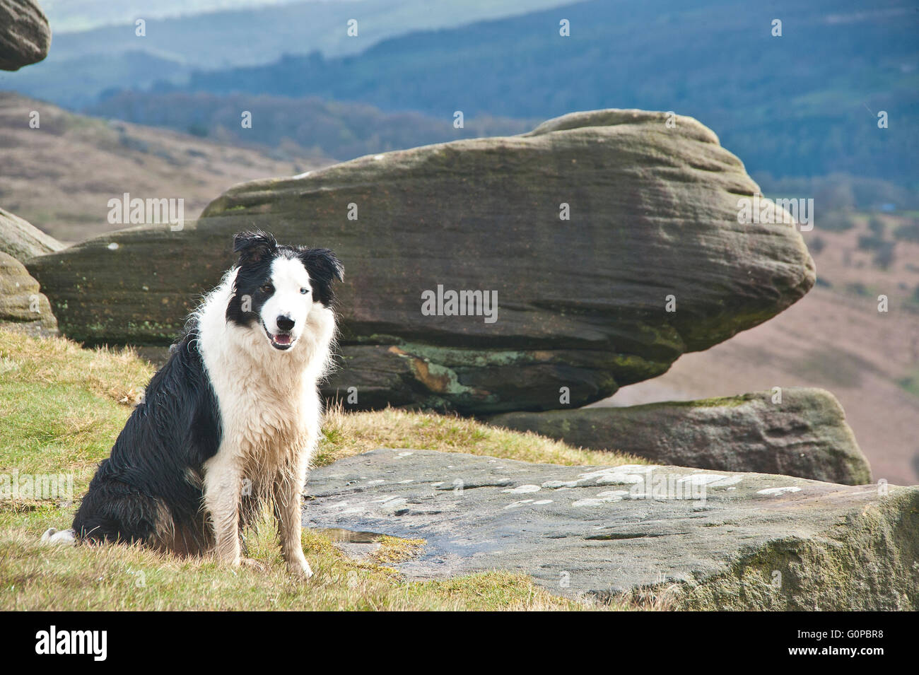 Stanage, Stanage Edge, Peak District, Gritstone, Klettern, Bouldern, hohe Gipfel, South Yorkshire, Schleifsteine, Lastesel Road, Stockfoto