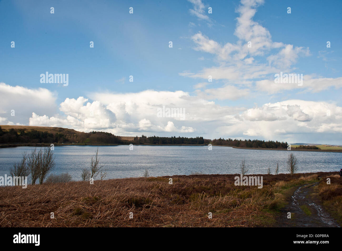Redmires, Reservoir, Sheffield, Mauren, Yorkshire Wasser, Trinkwasser, h2o, Natur, Tierwelt, dam, Moor, Hochland Flora Stockfoto