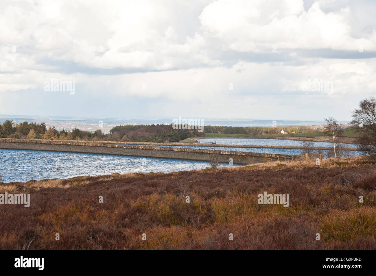 Redmires, Reservoir, Sheffield, Mauren, Yorkshire Wasser, Trinkwasser, h2o, Natur, Tierwelt, dam, Moor, Hochland Flora Stockfoto