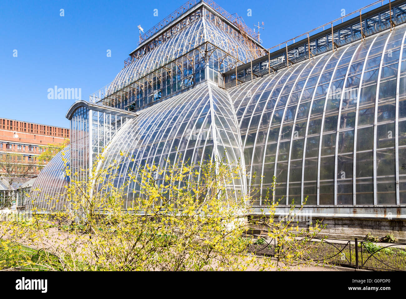 Gewächshaus in Sankt-Peterburg Botanischer Garten. alte Architektur aus Glas und Metall in klaren sonnigen Tag Stockfoto