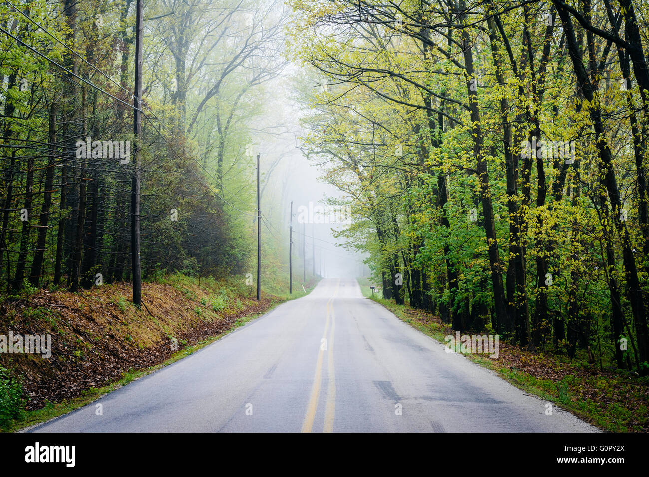 Shaffers Church Road im Nebel, in der Nähe von Glen Rock, Pennsylvania. Stockfoto