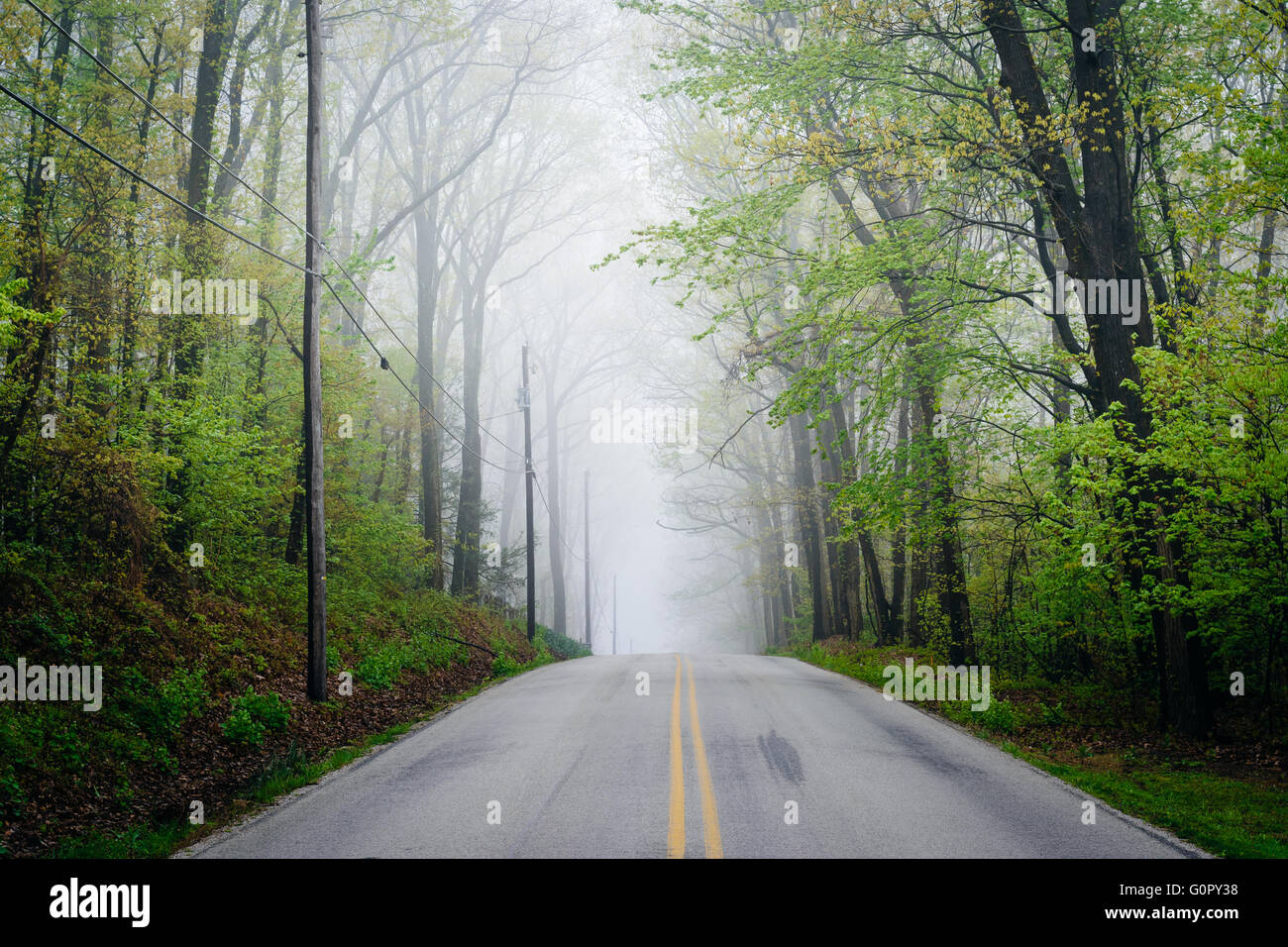 Shaffers Church Road im Nebel, in der Nähe von Glen Rock, Pennsylvania. Stockfoto