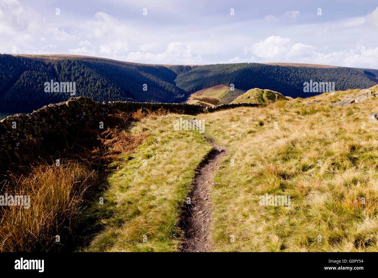 Ein Anschluss Wicklung über die Mauren in der oberen Derwent Valley in The Derbyshire Peaks England Großbritannien Stockfoto