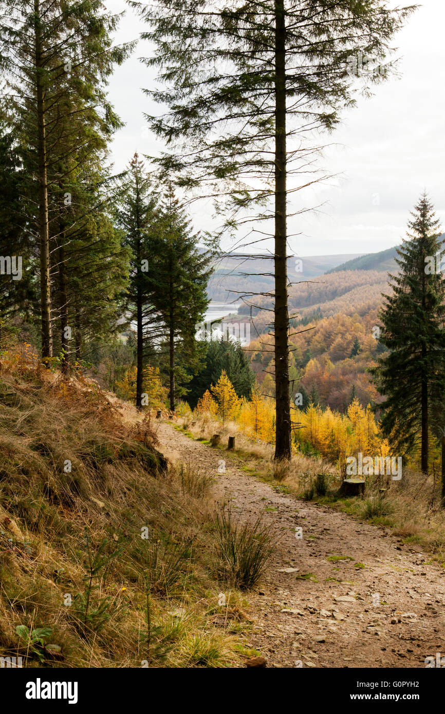 Upper Derwent Valley in Derbyshire Peaks England Großbritannien Stockfoto