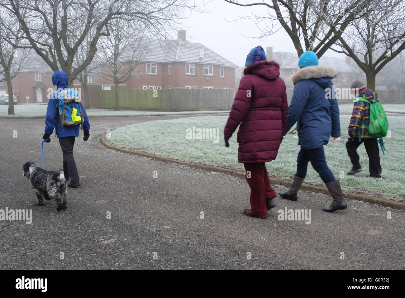 Kinder gehen zur Schule mit Mutter, Großmutter und Hund Stockfoto