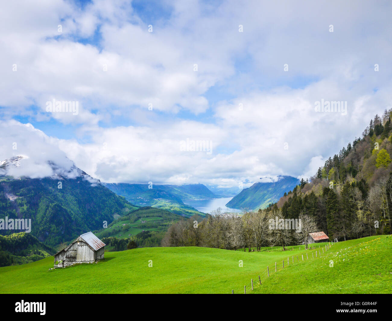 Blick auf Vierwaldstättersee und Alpen im Kanton Schwyz, Schweiz Stockfoto