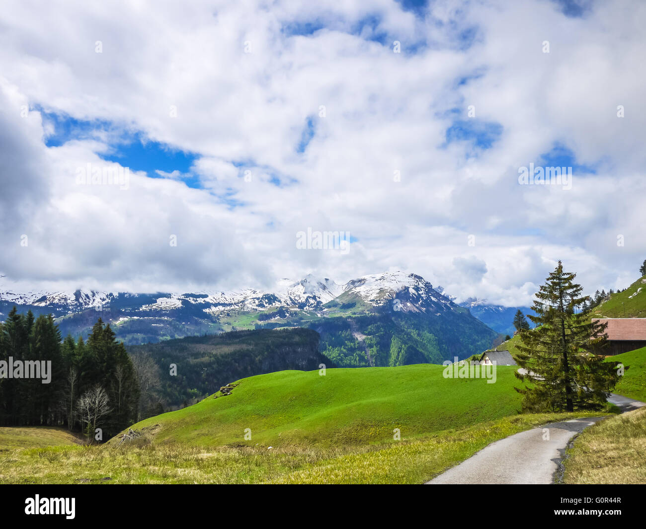 Blick auf die Alpen im Kanton Schwyz, Schweiz Stockfoto