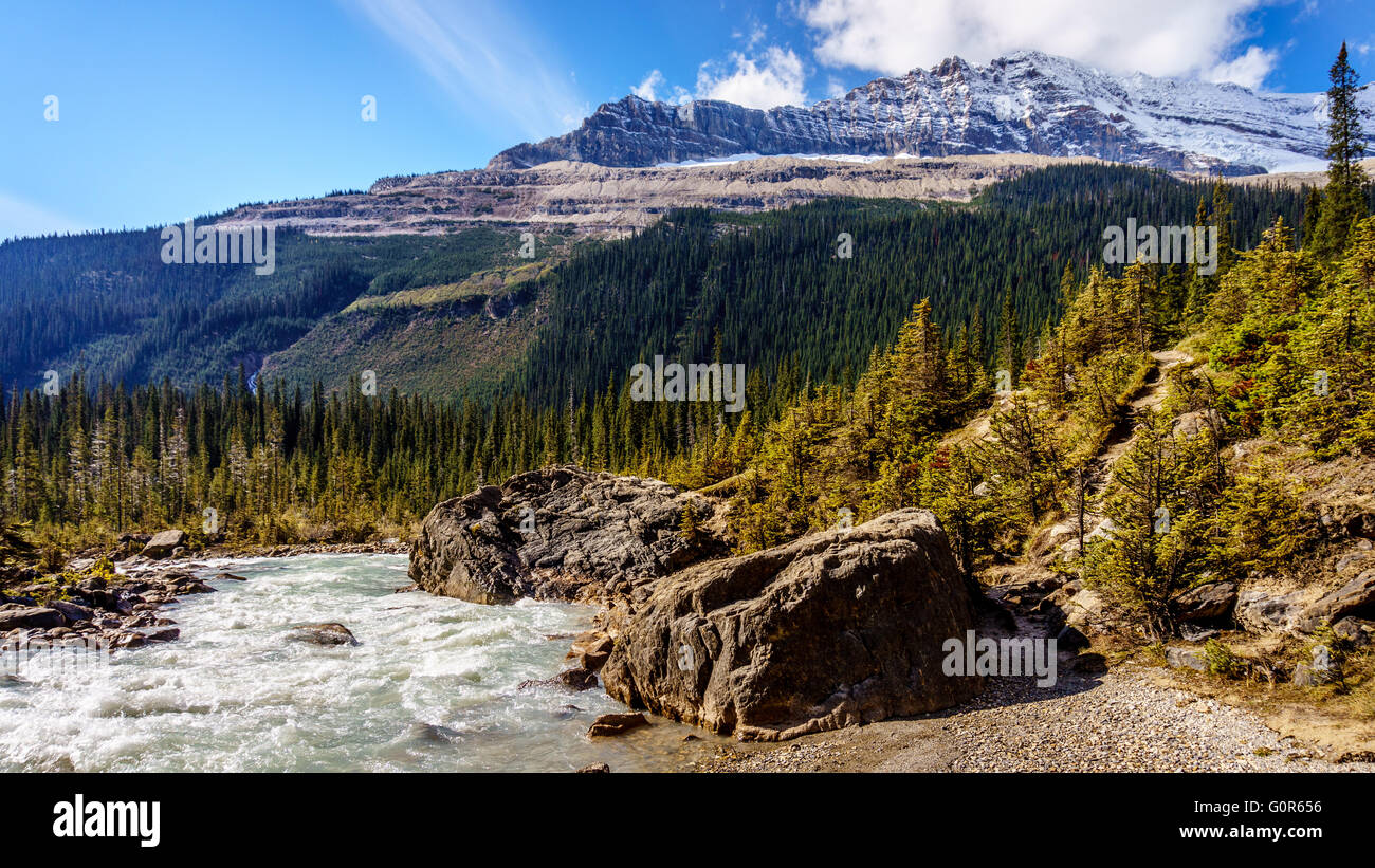 Der Fluss fließt von gespeisten Wasserfälle mit Michael Peak im Hintergrund im Yoho Nationalpark in den Rocky Mountains Stockfoto