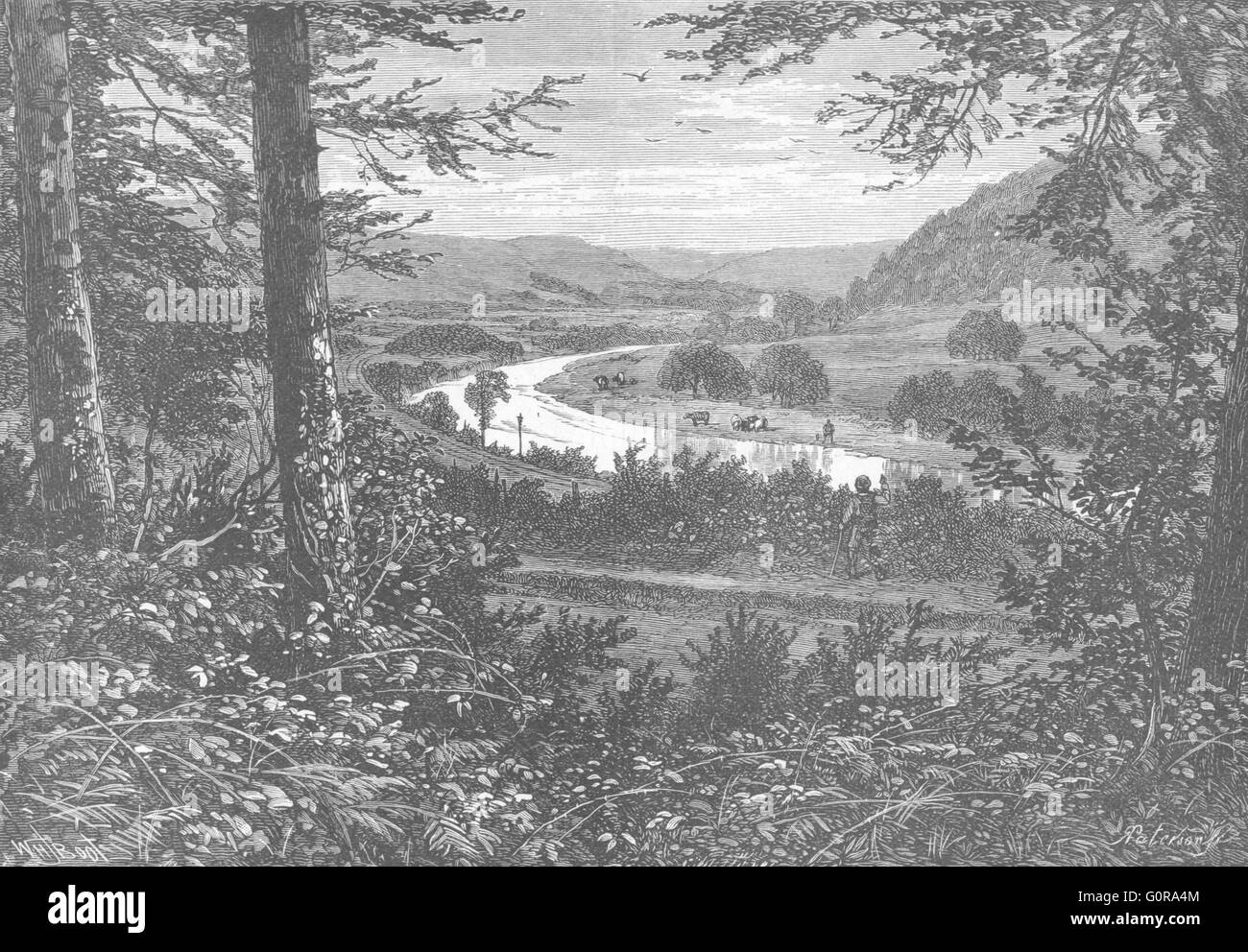 Irland: Wicklow: Vale von Avoca, antique print 1898 Stockfoto