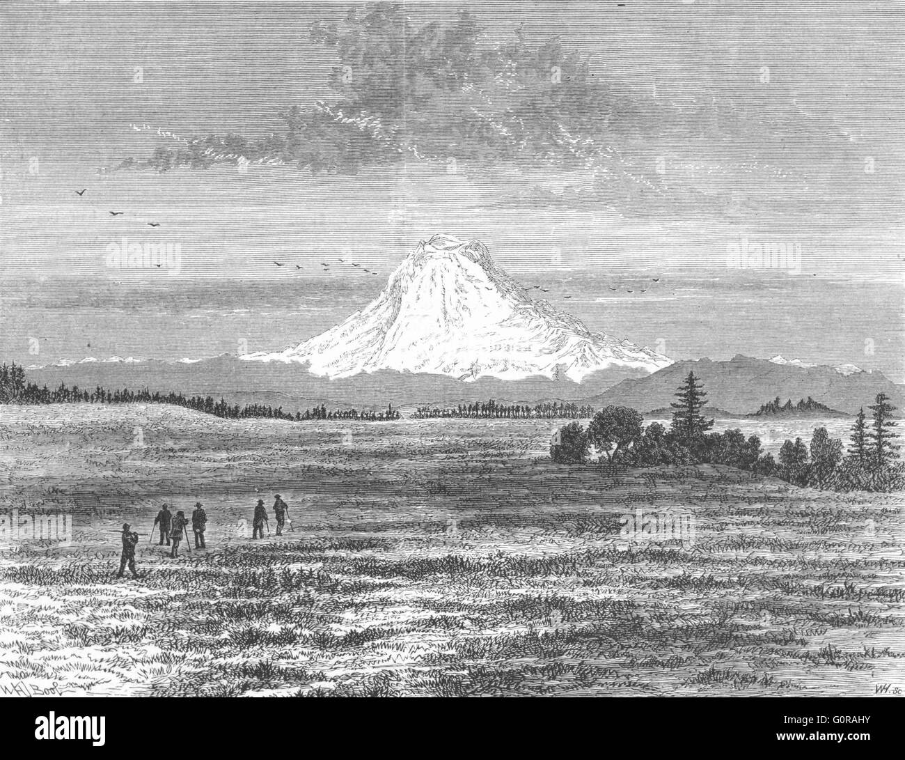 MOUNT RAINIER: Aufstieg: Nisqually Tal, antiken print 1880 Stockfoto