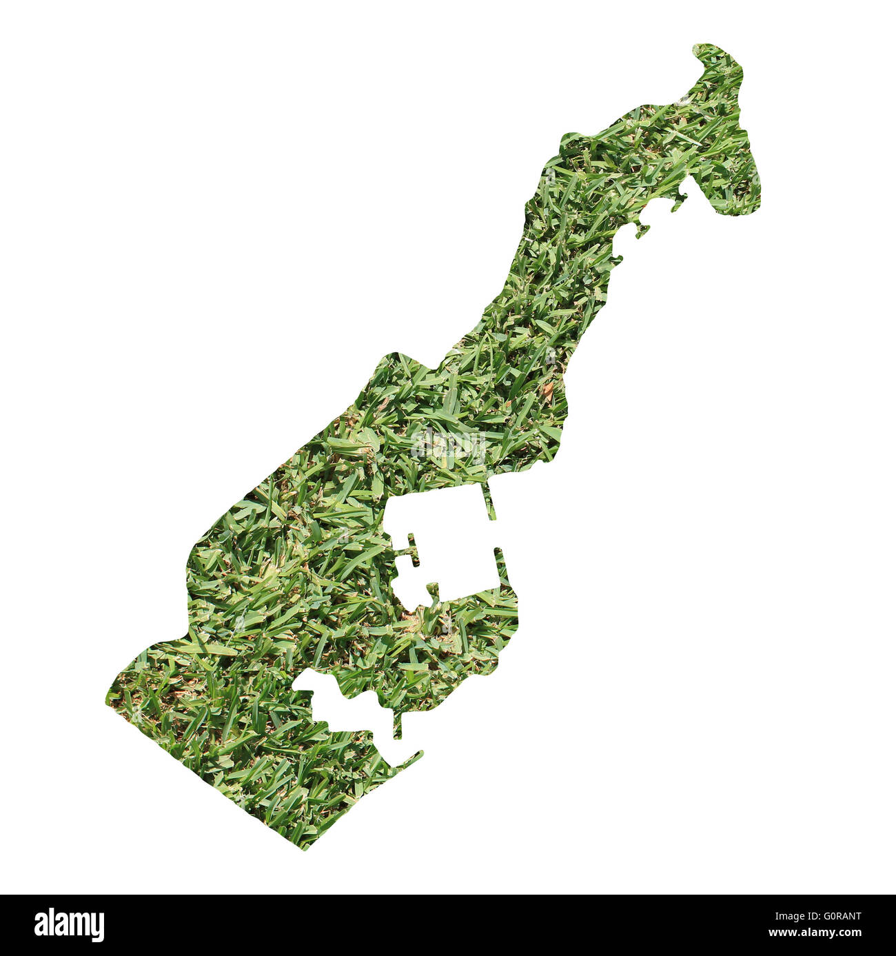 Karte von Monaco gefüllt mit grünen Rasen, Umwelt und Ökologie-Konzept. Stockfoto