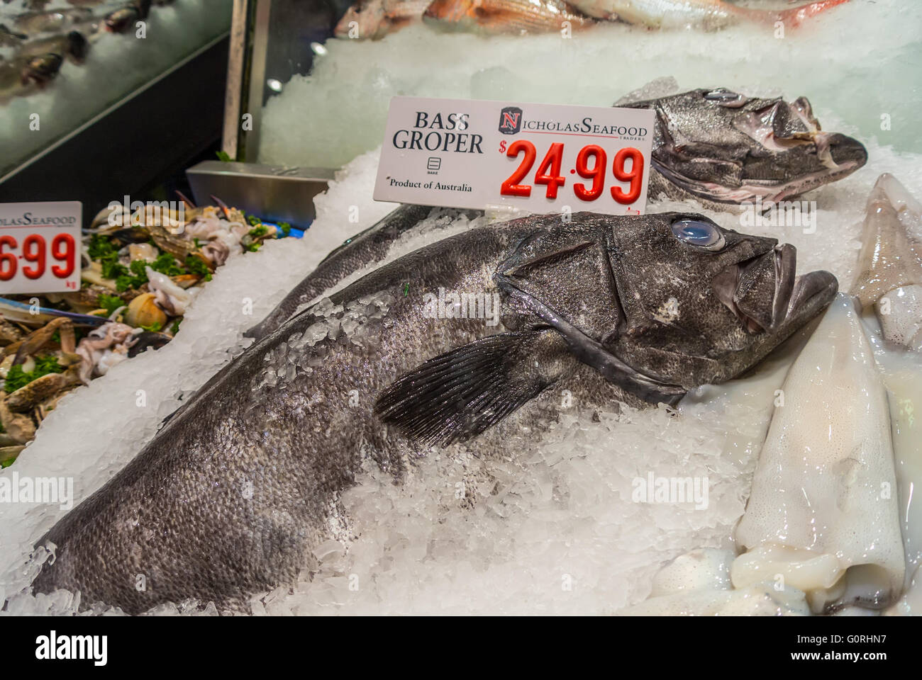 Frische Bass Groper Fisch und anderen Meeresfrüchten auf der berühmten Sydney Fish Market, Sydney Stockfoto