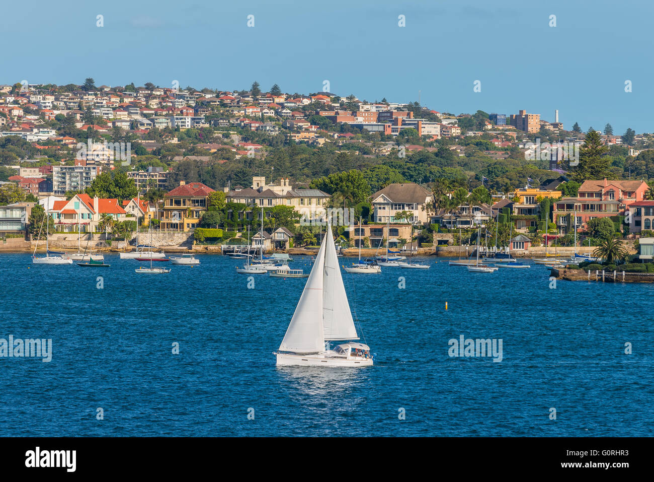 Segelboote und Wohnungsbau in Rose Bay, Sydney, New South Wales, Australien Stockfoto