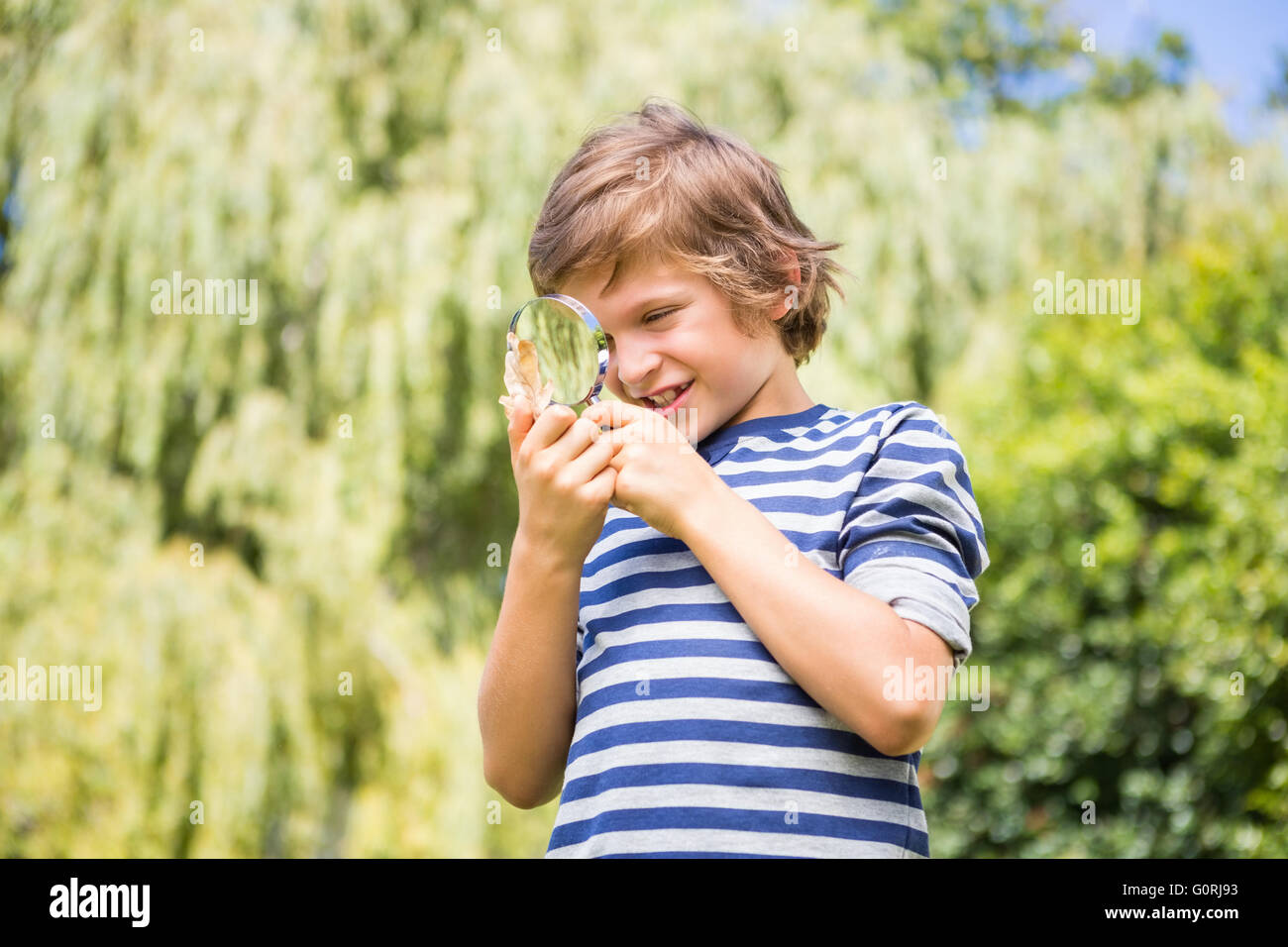 Porträt von fröhlicher Junge sucht ein Blatt mit Lupen Stockfoto
