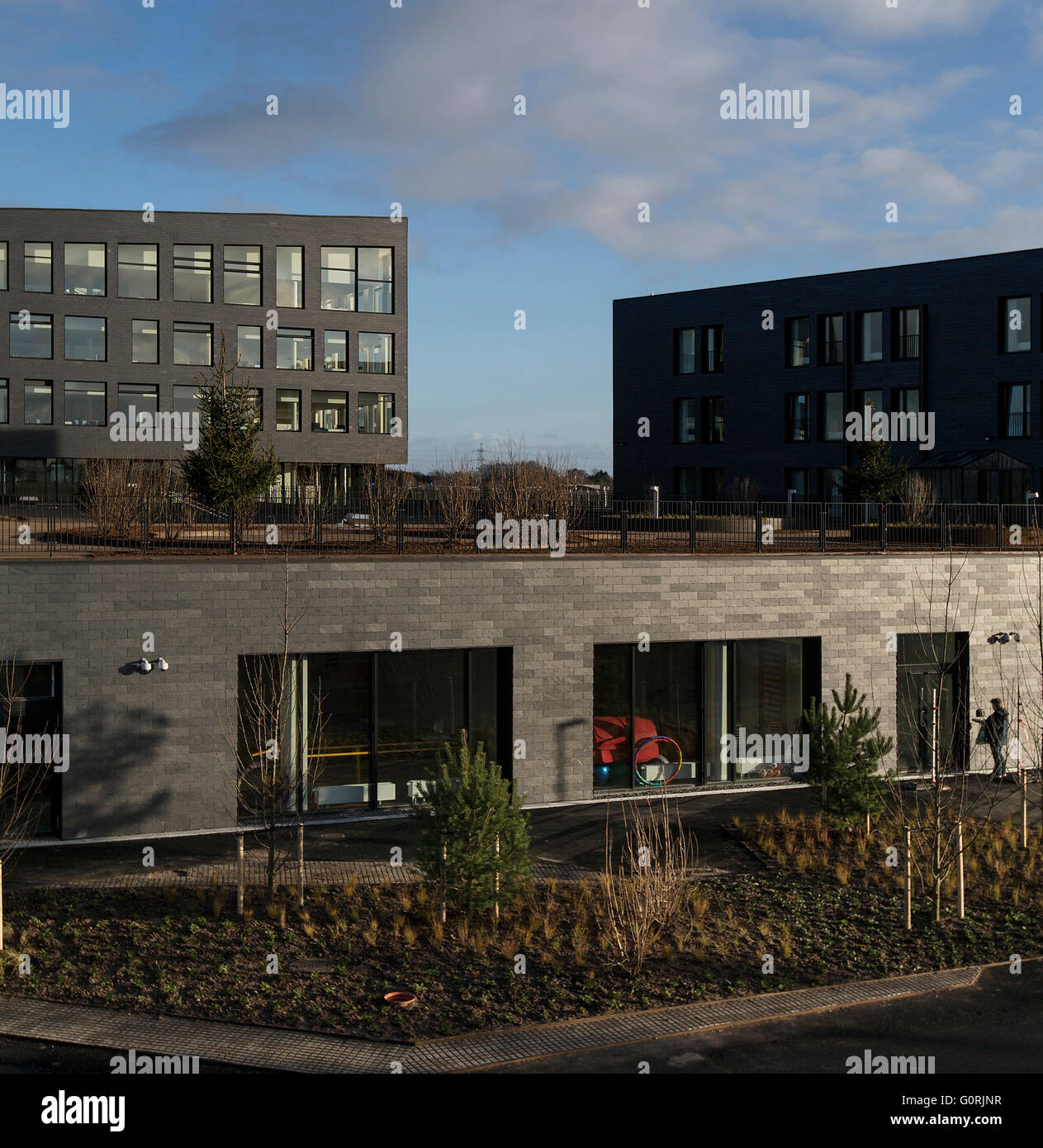Rathaus und Gesundheitszentrum, Egedal, Dänemark. Blick auf den Dachgarten und die untere Ebene Büros. Stockfoto