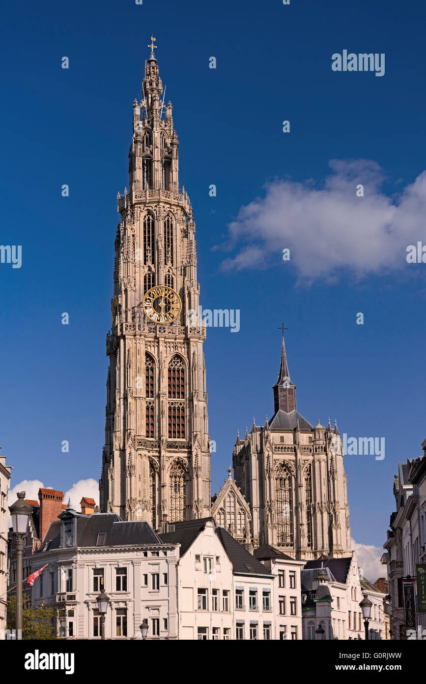 Dom-Turm Antwerpen-Belgien Stockfoto