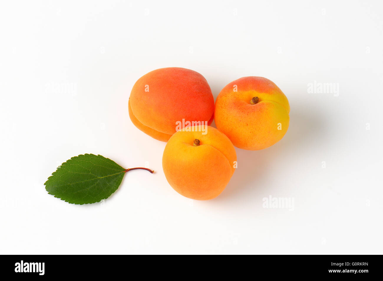 Frische Aprikosen auf weißem Hintergrund Stockfoto