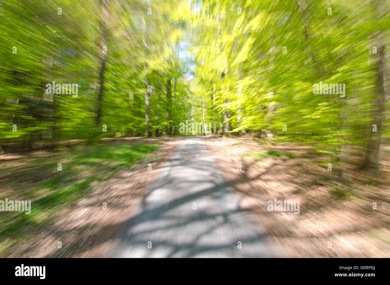 Zoom Burst Bild von einem Waldweg Stockfoto