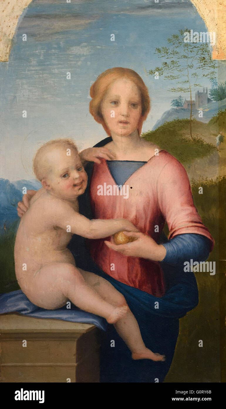 Andrea del Sarto - Andrea d'Agnolo (1486-1530) Madonna Col Bambino, ca. 1508. Stockfoto