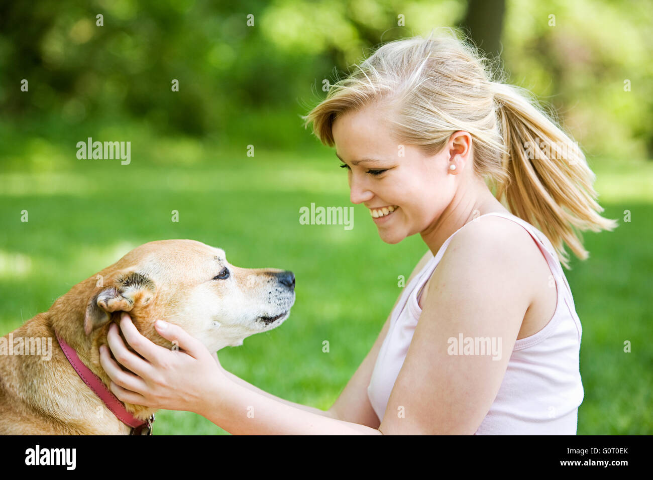 Serie mit Mädchen gehen und spielen in einem Park im Frühjahr, mit einem Hund. Stockfoto