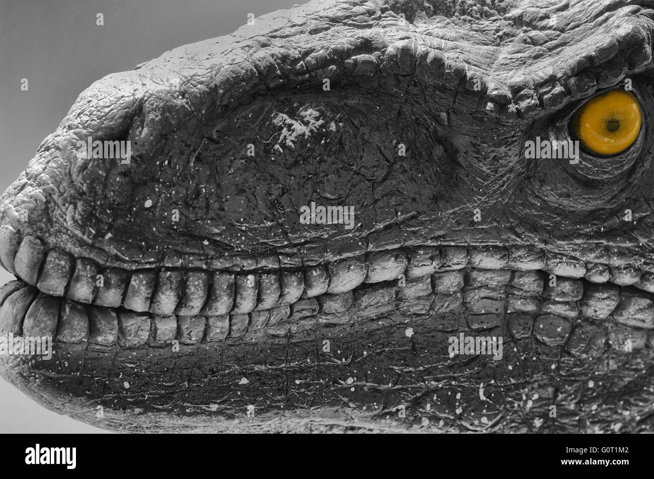 Fleisch-Rekonstruktion eines Dinosauriers, Maidstone Museum. Maidstone. Kent. England. VEREINIGTES KÖNIGREICH. Europa Stockfoto