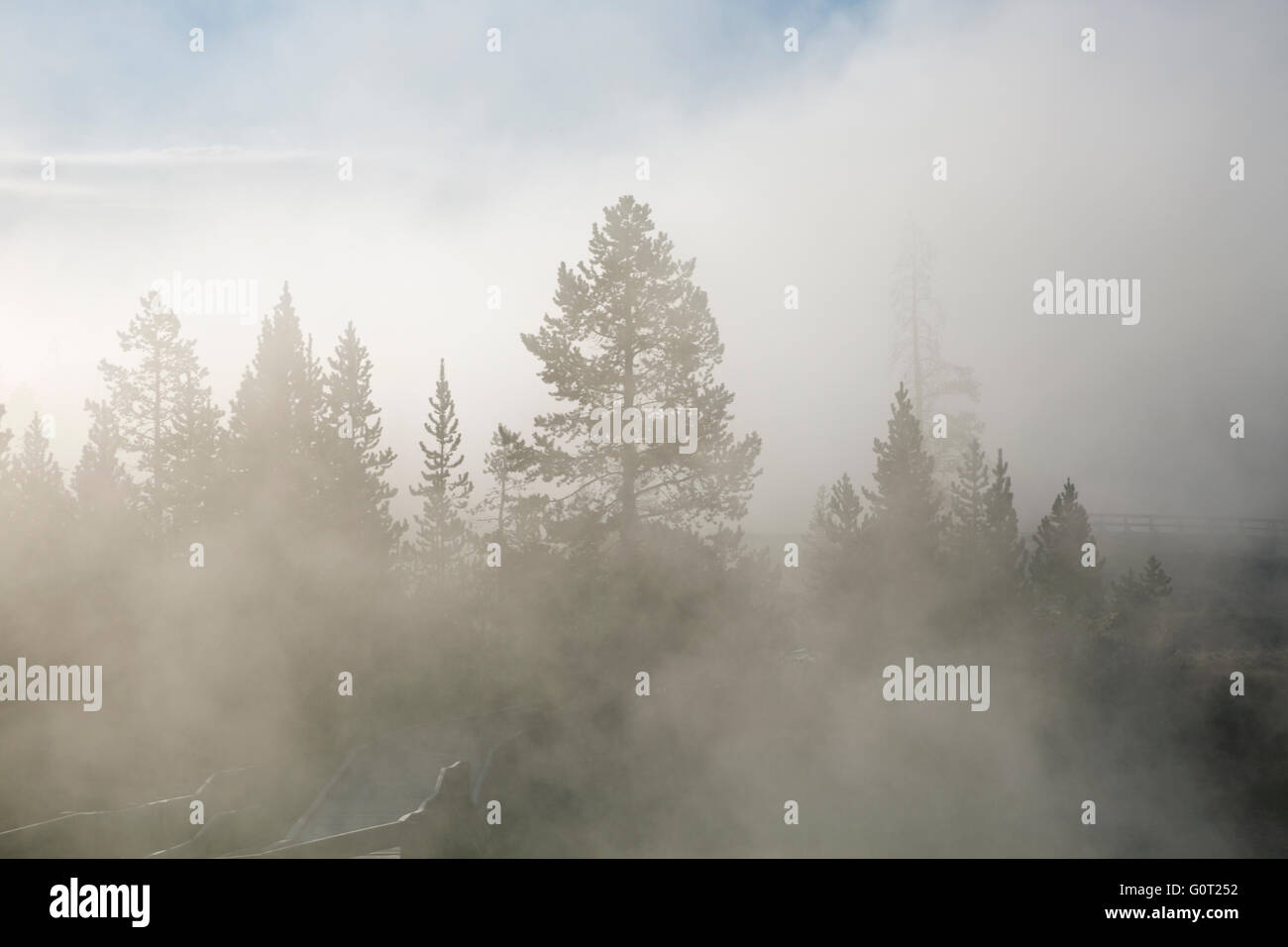 WY01616-00... WYOMING - Nebel und Dampf an einem kalten Morgen im West Thumb Geyser Basin im Yellowstone National Park. Stockfoto